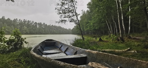 An abandoned boat is moored on a quiet, foggy forest shore, Poland