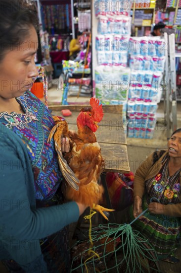 Mayan woman wearing traditional clothes with a chicken at the market in Sololá, Highlands, Sololá Department, Guatemala