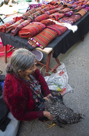 Mayan woman in traditional clothing with a chicken, traditional fabrics in the back, market in Sololá, Highlands, Sololá Department, Guatemala