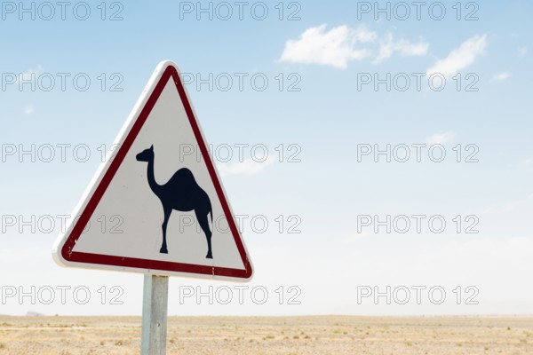 Traffic sign Attention Camels, near Merzouga, Meknès-Tafilalet region, Erg Chebbi, northern Sahara, Morocco