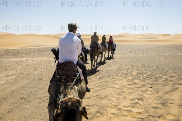 Tourists on dromedaries in the desert, near Merzouga, Meknès-Tafilalet region, Erg Chebbi, northern Sahara, Morocco