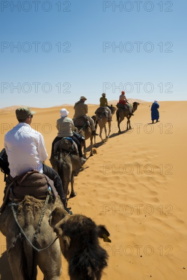 Tourists on dromedaries in the desert, near Merzouga, Meknès-Tafilalet region, Erg Chebbi, northern Sahara, Morocco