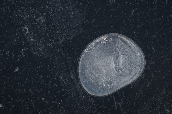 Air bubble in the ice of a frozen lake in winter, Finland