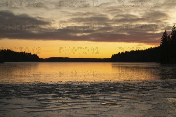 Ice formation on the shore of a lake, forest, sunrise, winter, Hartola, Finland