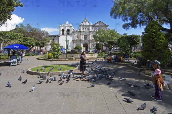 Parque Centroamérica or Parque Central, a Mayan woman in traditional clothing feeds pigeons, in the back the cathedral or Catedral del Espíritu Santo, Quetzaltenango or Xela, Quetzaltenango province, Guatemala