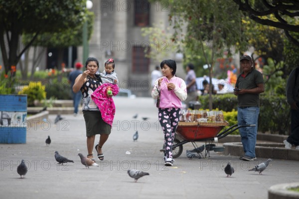 Guatemalan woman with toddlers in modern clothes stroll across Parque Centroamérica or Parque Central, Quetzaltenango or Xela, Quetzaltenango Province, Guatemala