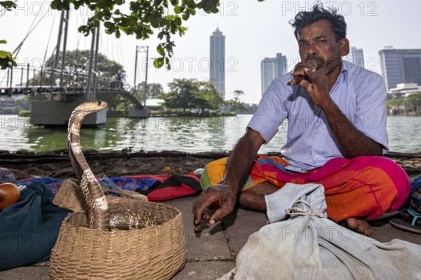 Man with a cobra in a basket playing instrument by the river with an urban backdrop