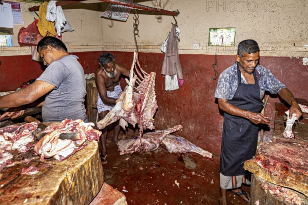 Butcher in a factory processing meat, with various pieces of meat
