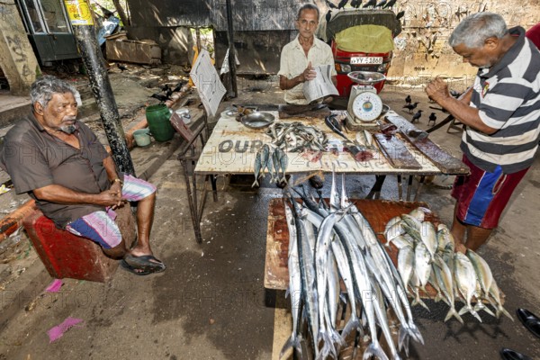 Fresh fish at a market with sellers in a tropical climate without price tags