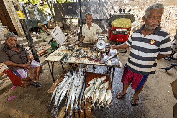Fish seller at a busy street market, fresh fish on a table without price tags