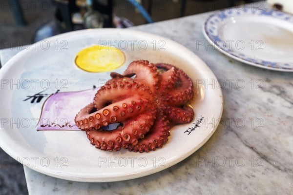 Octopus, octopus or pulpo, delicacy, painted plate, cooked, suction cups, Mediterranean cuisine, snack, market stand at weekly market market, Palermo, Italy