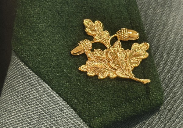 Traditional uniform of the shooting guild Rapen with golden acorn leaf as hunter's badge, detail, House of History, Bonn, Germany