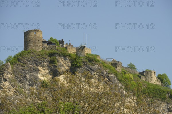 Griffen Castle Ruins, Schlossberg, Griffen, Carinthia