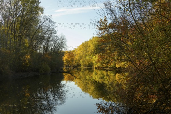Autumn mood, riparian forest, water, Lower Austria