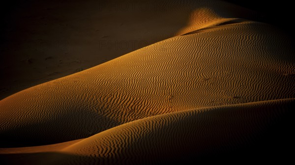 Sand dunes in the Rhub al Khali desert, detailed view, empty quarter, largest sandy desert in the world, Oman