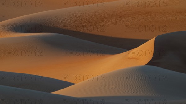 Sand dunes in the Rhub al Khali desert, empty quarter, largest sandy desert in the world, Oman