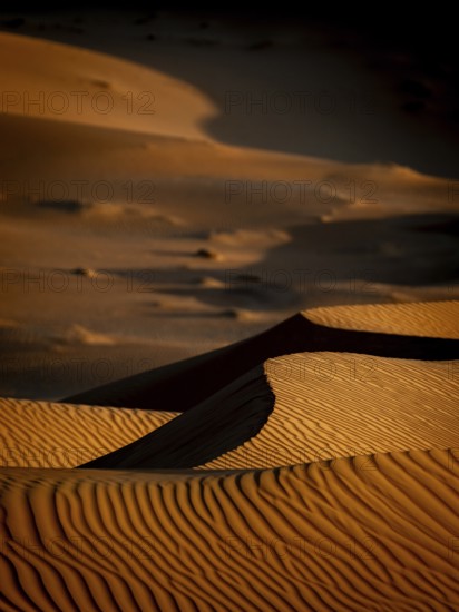 Sand dunes in the Rhub al Khali desert, detailed view, empty quarter, largest sandy desert in the world, Oman