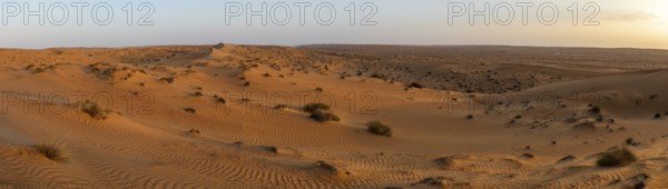 Sand dunes in the Wahiba Sands desert, Oman