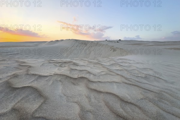 Sunset, white sand dunes in the Khaluf desert, Oman