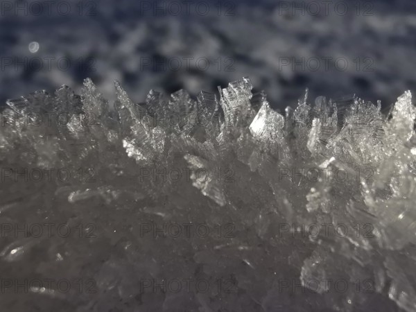 Detailed ice crystals sparkle in a frosty winter landscape, Franconian Forest