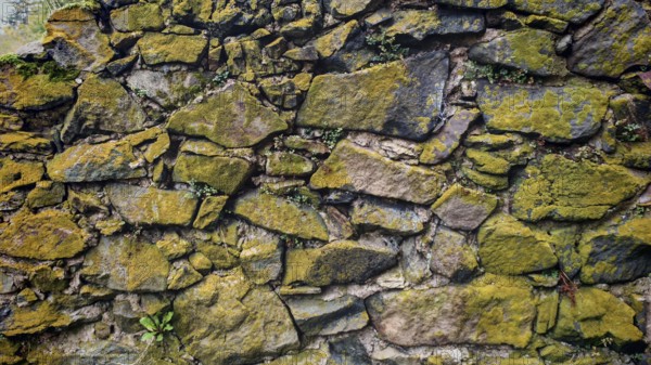An old stone wall covered with moss shows natural texture and age, Franconian Forest