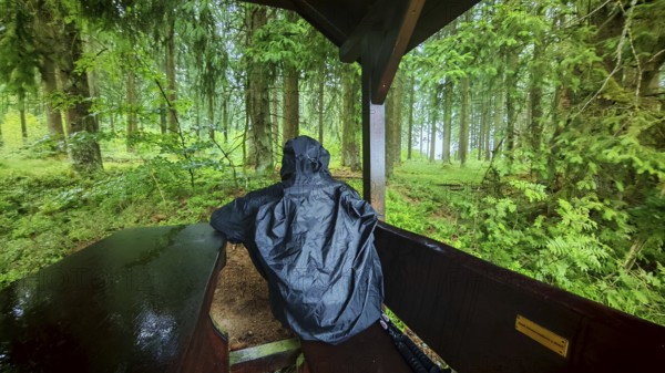 Person under a wooden shelter in a rainy forest, surrounded by lush greenery, Fichtelgebirge, Upper Franconia