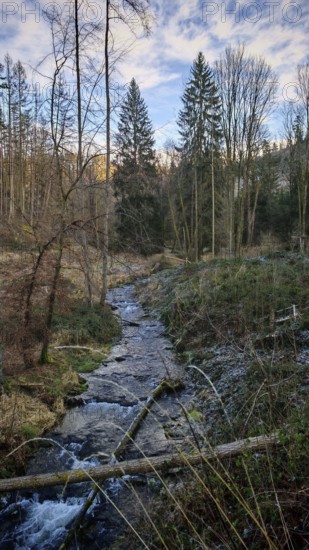 A small stream flows through the wintry forest, surrounded by bare trees and blue skies, Frankenwald nature park Park