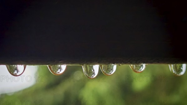 Close-up of water droplets hanging on a dark surface, Rennsteig, Thuringian Forest