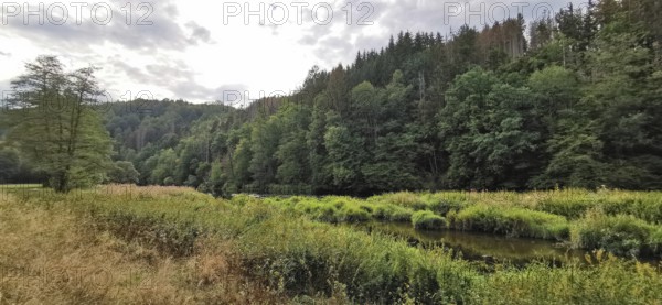 A river snakes through a wooded landscape under cloudy sky, Thuringian Forest, Germany