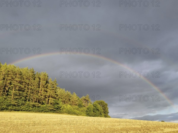 A rainbow stretches across fields and a forest under dark clouds
