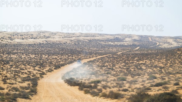 Car drives over sandy road, Wahiba Sands desert, Oman