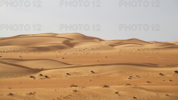 Sand dunes in the Wahiba Sands desert, Oman