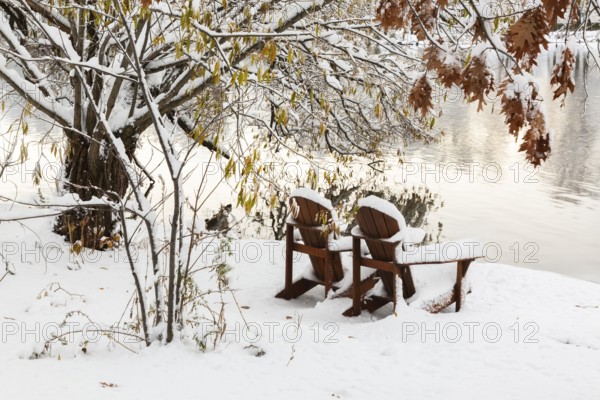 Two brown stained wooden Adirondack chairs by riverside framed by Salix - Willow and Quercus - Oak tree branches covered with winter like snow in late autumn, Ile des Moulins, Old Terrebonne, Quebec, Canada