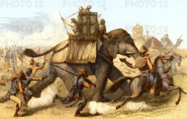 Elephantry of the Sikh Empire, Battle of Ferozeshah, First Anglo-Sikh War, 1845