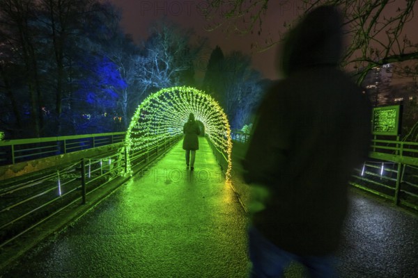 Park lights, events in winter, in the Grugapark in Essen, many different light installations, across the park, attract many thousands of visitors, Lichttunnel North-Rhine Westphalia, Germany