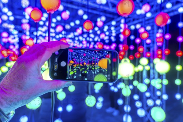 Park lights, winter event, in the Grugapark in Essen, many different light installations, across the park, attract many thousands of visitors, light work of art consisting of many hundreds of hanging ball lamps, LEDs, with changing colors, accessible, North Rhine-Westphalia, Germany