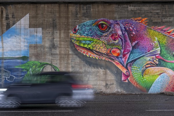 Colourful graffiti, mural, iguana or lizard in rainbow colors, in a motorway bridge underpass of the A52, in the Breitscheid junction, B227, Kölner Straße, in Ratingen-Breitscheid, artist Brosart Design, North Rhine-Westphalia, Germany