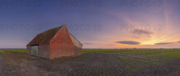 View of a field on which a rural building made of baked stone stands at sunset, Aschwarden, Schwanewede, Lower Saxony, Germany