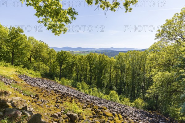 Steinernes Meer natural monument, Großer Berg in Großhennersdorf, Herrnhut, Upper Lusatia, Saxony, Germany
