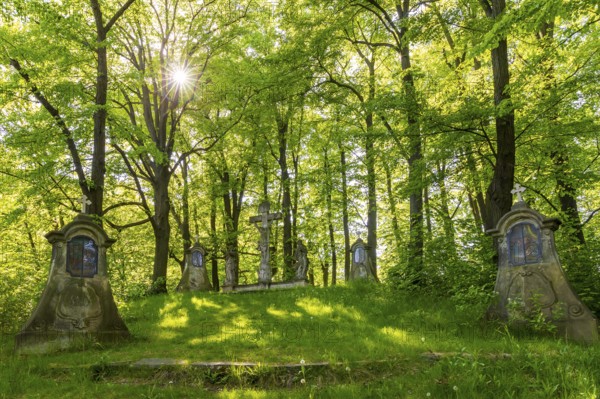 Old Way of the Cross with various stations and group of figures of Christ on the Cross at the top of the mountain, St. Marienthal Abbey in Ostritz, Saxony, Germany