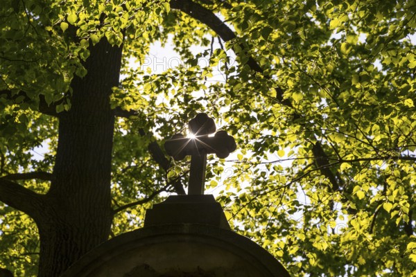 Silhouette of a cross with sun surrounded by trees, St. Marienthal Abbey in Ostritz, Saxony, Germany