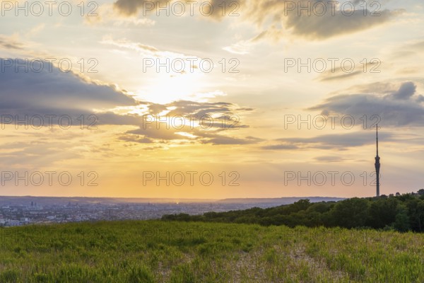 Rockauer Höhe vantage point (Sachsens Hiefel) is located far above the Elbe valley and offers a view over Dresden and the Elbe valley, here at sunset with the television tower, Rockau, Dresden, Saxony, Germany