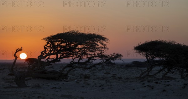 Sunset on the coast near Khahil, Oman
