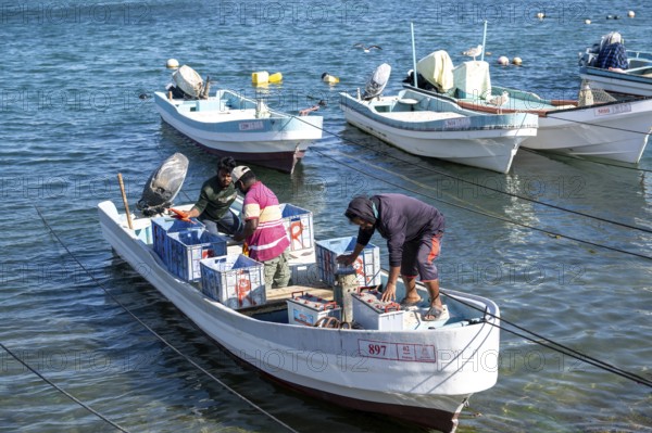 Fishing boats in Mirbat harbour, Oman