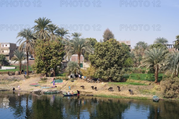 Houses on the banks of the Nile near Luxor, Egypt