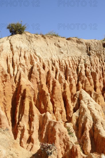 Eroded sandstone cliffs on the coast, Praia da Mesquita, Algarve, Portugal