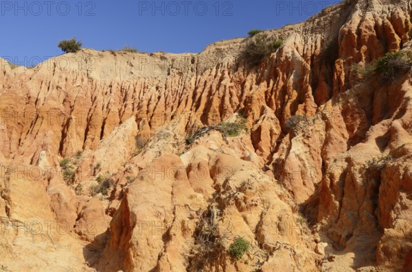 Eroded sandstone cliffs on the coast, Praia da Mesquita, Algarve, Portugal