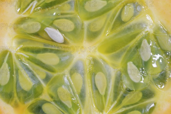 Horned cucumber, kiwano or horned melon (Cucumis metuliferus), sliced fruit, native to Africa