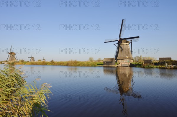 Historic windmills, UNESCO World Heritage Site, Kinderdijk, South Holland, Netherlands