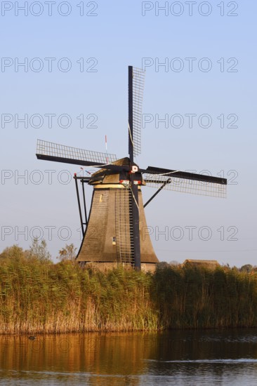 Historic windmill in evening light, UNESCO World Heritage Site, Kinderdijk, South Holland, Netherlands